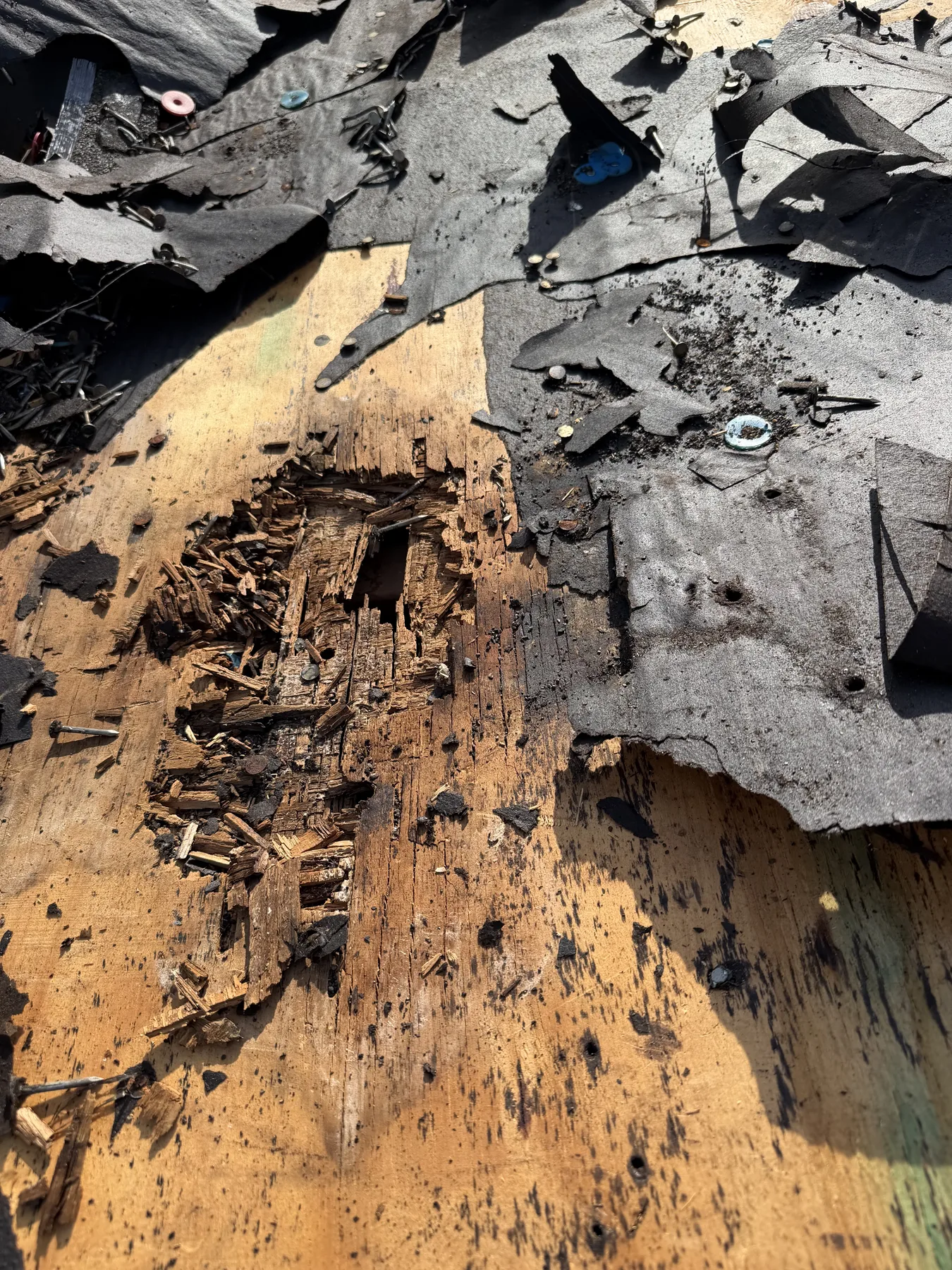 Water-damaged plywood discovered during roof tear-off in Sherman Texas